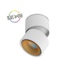 Applique Décorative CCT 6W - Blanc/Doré - orientable- Vision-el